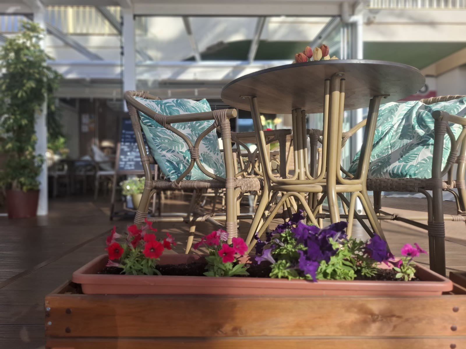 Colourful flowers and tropical cushions on the terrace