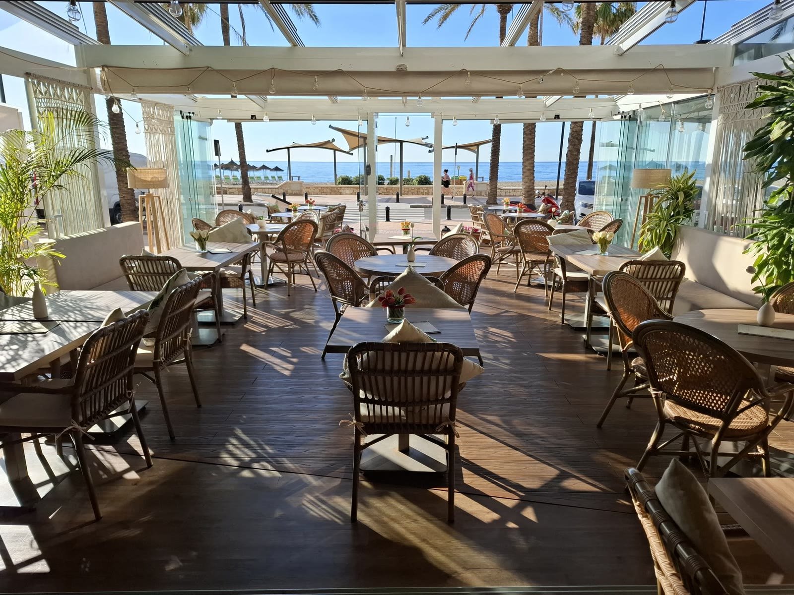 Sunlight and palm shadows across Luna's terrace deck